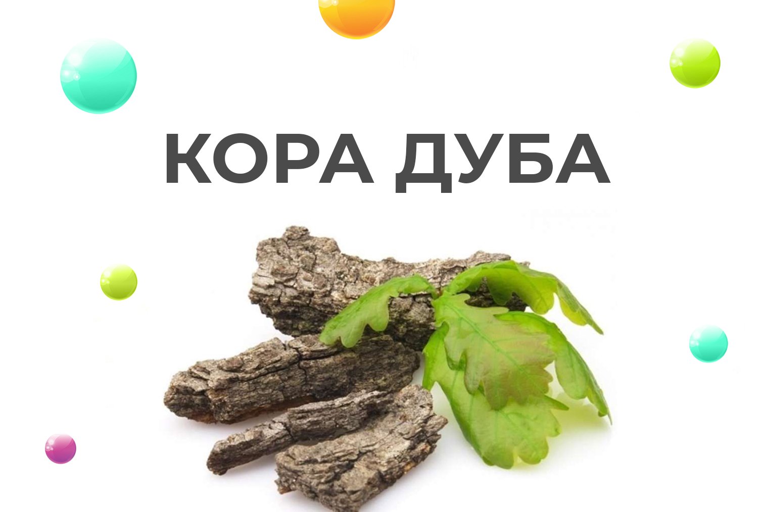 Кора дуба обыкновенного Кора дуба обыкновенного